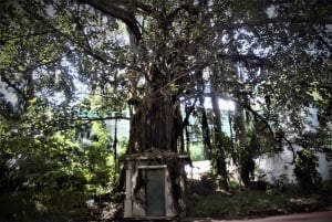 Maputo: tour della città con punti di interesse storico e culturale
