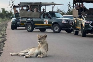 Maputo: Kruger National Park Day Trip