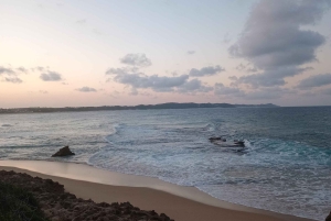 Maputo: privat dagstur til Ponta do Ouro med guide