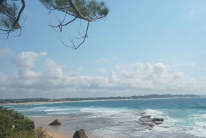 Maputo: privat dagstur til Ponta do Ouro med guide