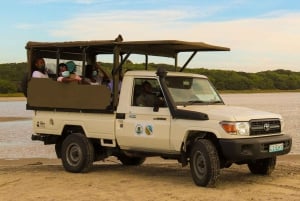 Maputo Reserve National Park: Epic One-Day Safari