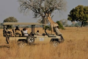Maputo Reserve National Park: Epic One-Day Safari