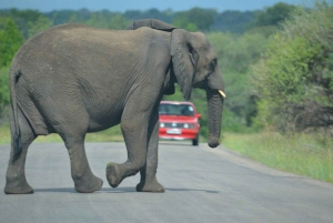 Excursion de 3 jours dans la réserve spéciale de Maputo