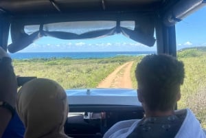Reserva Especial de Maputo: Viagem de 1 dia de safári saindo de Maputo