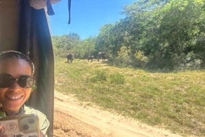 Reserva Especial de Maputo: Viagem de 1 dia de safári saindo de Maputo