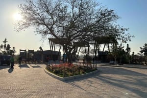 Reserva Especial de Maputo: Viagem de 1 dia de safári saindo de Maputo