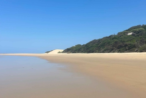 Reserva Especial de Maputo: Viagem de 1 dia de safári saindo de Maputo