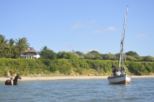 Mozambique Horse Safaris