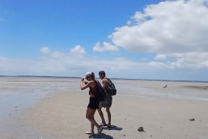 Tofo & Barra: Pansy Island and Pigs Island Day Trip