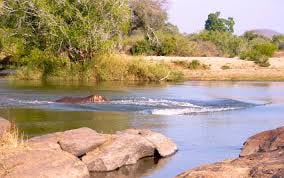 Niassa National Game Reserve