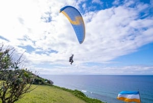 Ponta Malongane: Paragliding Experience with Instructor