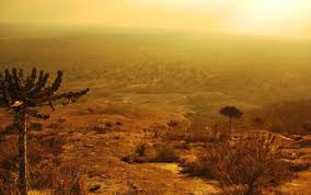 Quirimbas National Park