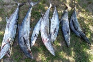 Fischen - Tiefsee - Mosambik - 6 Nächte