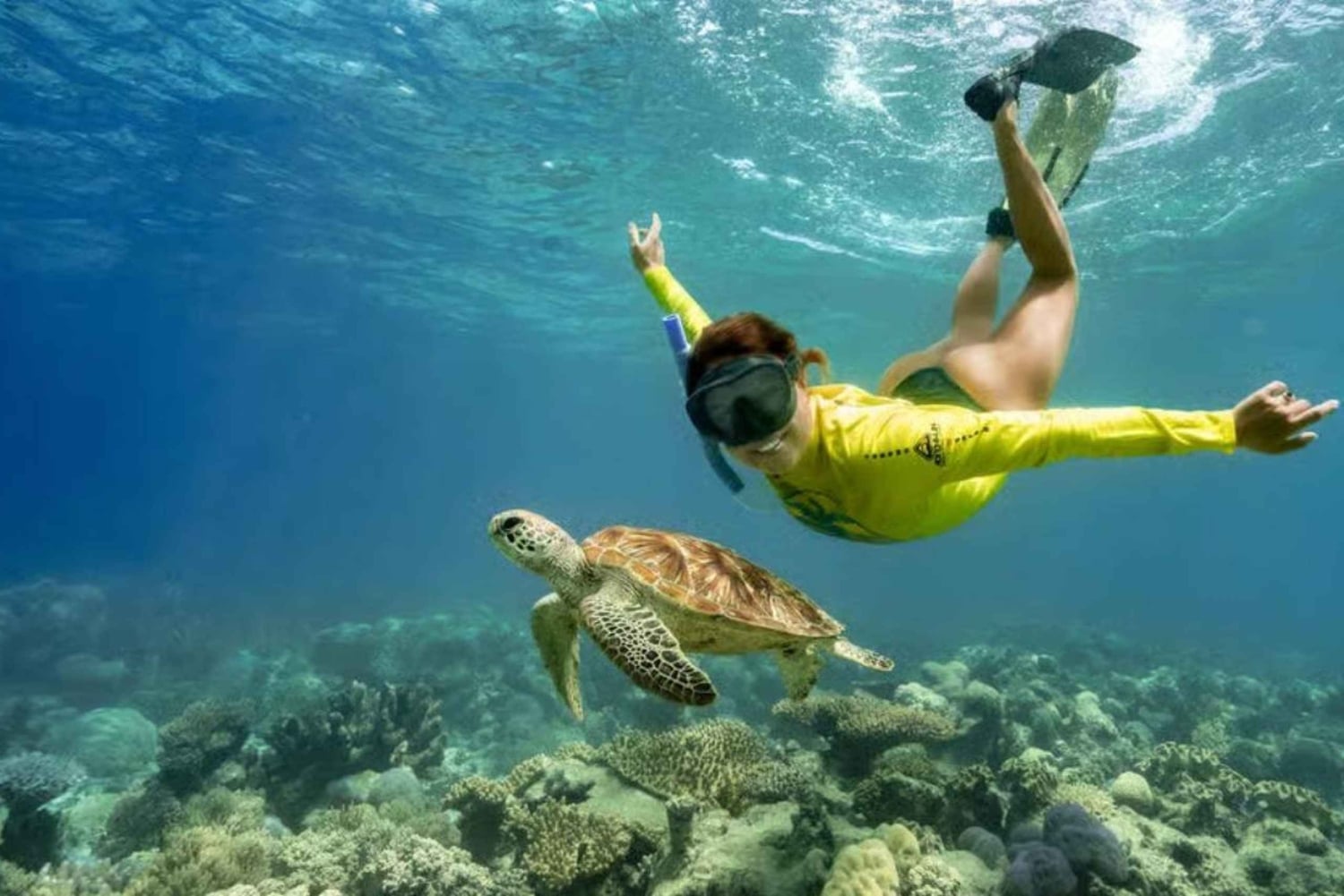 Tofo: Ocean Safari Wildlife Spotting