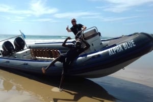 Tofo: Ocean Safari Wildlife Spotting