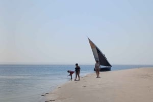 Tofo: excursión de un día a la isla Pansy y la isla Pigs