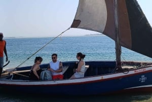 Tofo: excursión de un día a la isla Pansy y la isla Pigs
