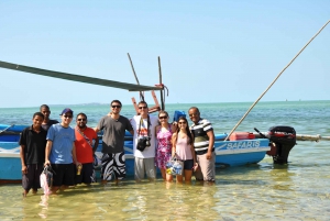 Vilanculos: Day Trip Dhow Safari to Tropical Island