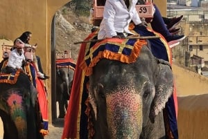 デリー、アグラ、ジャイプール：3日間プライベート・ゴールデン・トライアングルツアー