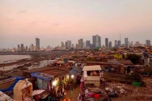 Tour della baraccopoli di Dharavi