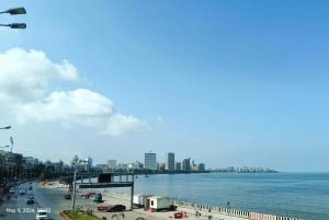 Descubra Mumbai Express: aventura de meio dia pela cidade