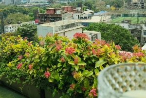 Oplev Mumbai Express: Halvdags byeventyr