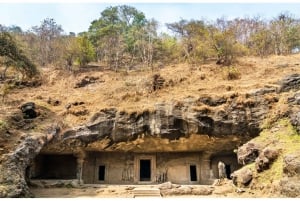 Excursion dans les grottes d'Elephanta (visite demi-journée touristique guidée)
