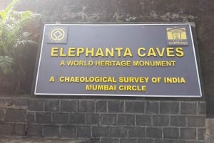 Excursão guiada de meio dia às cavernas de Elephanta