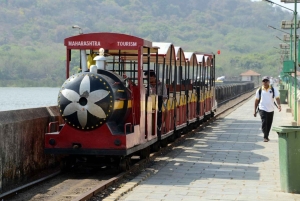 エレファンタ洞窟半日ガイドツアー