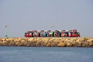 エレファンタ洞窟半日ガイドツアー