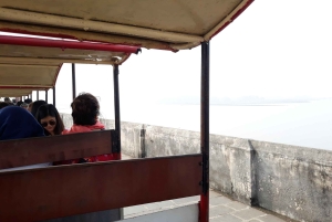 Elephanta-grottene - halvdagstur med guide