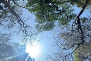 Elephantan luolat Yksityinen opas saarella