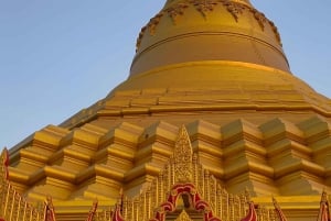 Poznaj Mumbaj - 'Starożytne jaskinie Kanheri i Złota Pagoda'