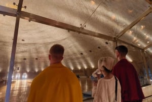 Poznaj Mumbaj - 'Starożytne jaskinie Kanheri i Złota Pagoda'