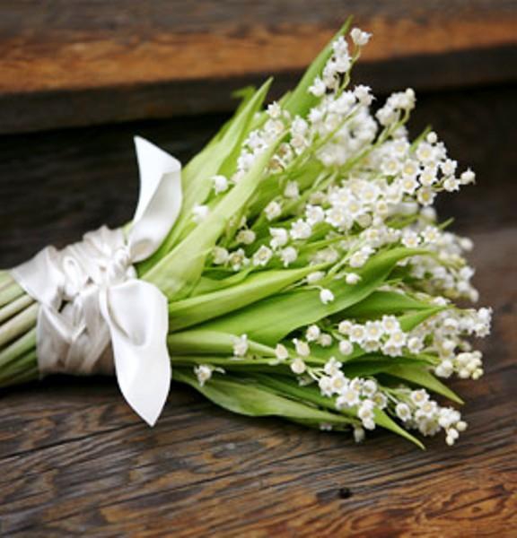 Flowers & Fruits