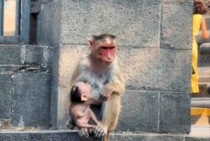 ジャイプル発、ムンバイとエレファンタ洞窟を訪れる日帰りプライベートツアーをご案内いたします