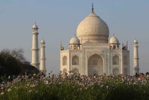 Z Bombaju: Prywatna wycieczka z przewodnikiem do Taj Mahal z noclegiem