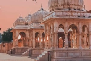 Von Mumbai: Private Tagestour durch Delhi – Kultur & Geschichte