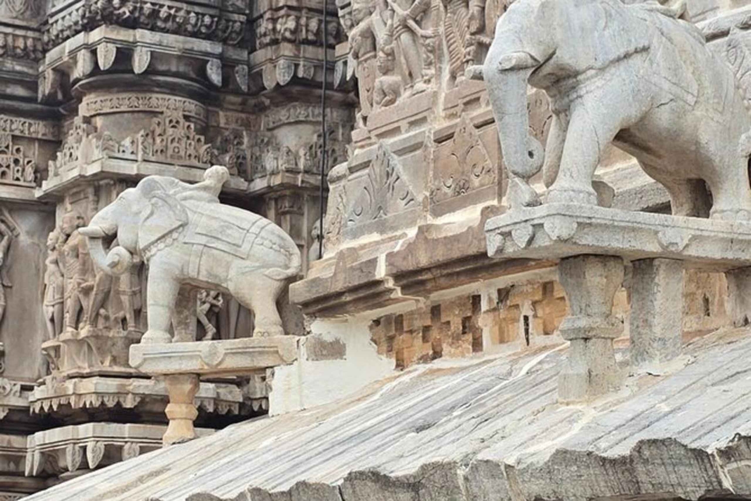 From Mumbai Private Same-Day Udaipur Tour by Flight