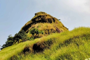 Desde Mumbai: ruta guiada al fuerte de Sondai con comidas y traslados