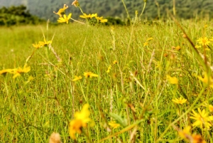 Desde Mumbai: ruta guiada al fuerte de Sondai con comidas y traslados