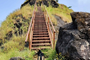 Desde Mumbai: ruta guiada al fuerte de Sondai con comidas y traslados
