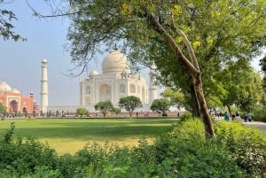 Da Mumbai: Taj Mahal e Agra, esperienza di 2 giorni con voli inclusi