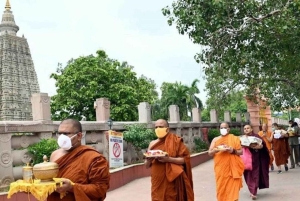 Den Gyldne Trekant med Mumbai