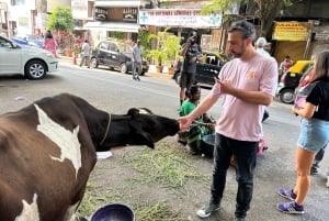 Guten Morgen Tour 4 Stunden mit lokalen Verkehrsmitteln