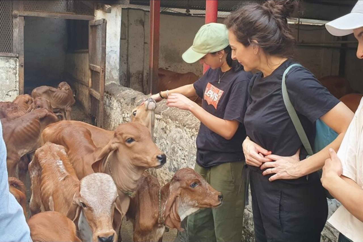 Guided Bike Tour of Mumbai's Highlights and Hidden Gems