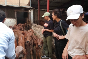 Guided Bike Tour of Mumbai's Highlights and Hidden Gems