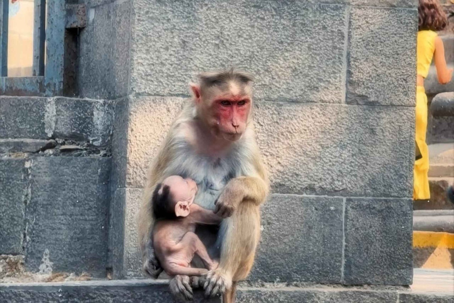 Mumbaj: nocna i dzienna wycieczka po ulicznych jedzeniach, Elephanta i dziedzictwo