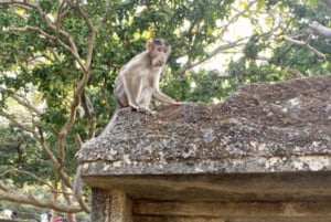 From Mumbai: Half-Day Elephanta Caves Tour with Ferry Ride