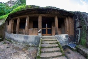 Mumbai: 6-hours Kanheri Caves and National Park Tour